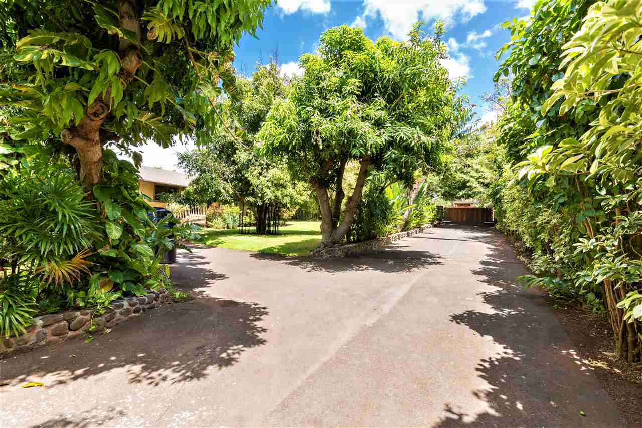 4025 Lower Honoapiilani Road Lahaina, HI 96761 - Photo 20 of 21 a view of a street with potted plants and large trees