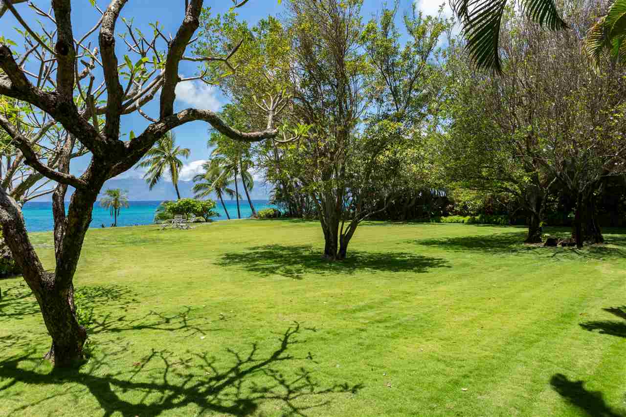 4025 Lower Honoapiilani Road Lahaina, HI 96761 - Photo 6 of 21 a view of swimming pool with a tree