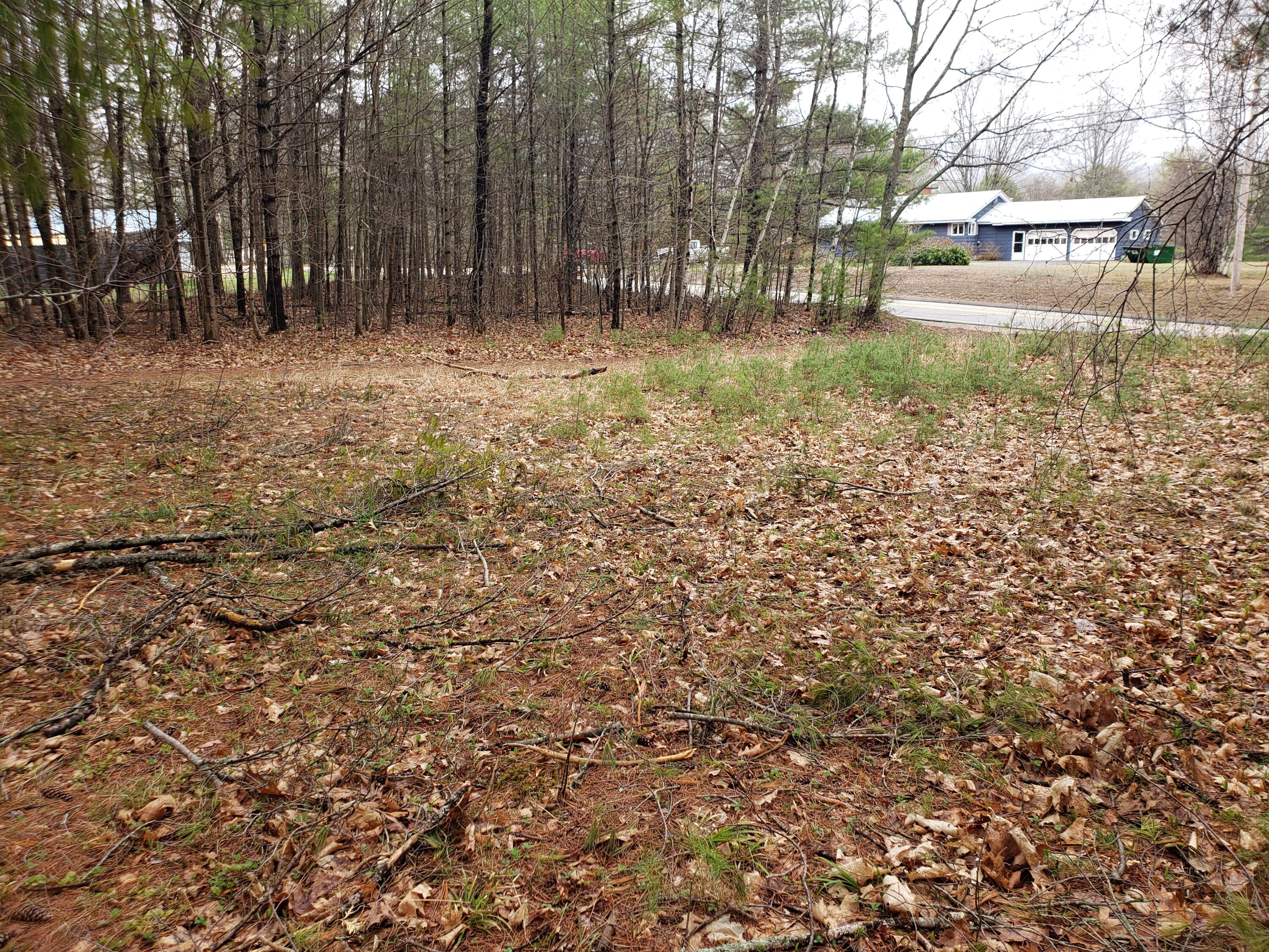 1293 Canton Point Road Dixfield, ME 04224 - Photo 4 of 7 Level lot!