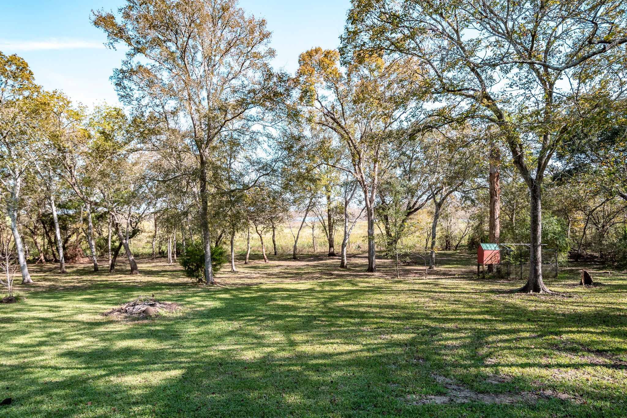 507 Oaks Grande Road Baytown, TX 77523 - Photo 4 of 50 a garden view with trees