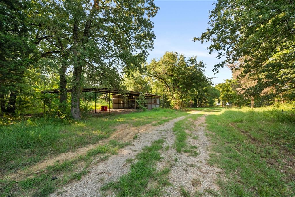 7410 County Road Kerens, TX 75144 - Photo 33 of 35 a view of a park with large trees