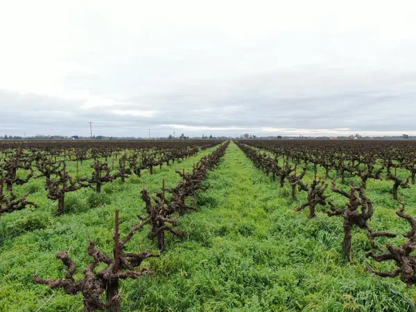$1,280,000 | 21610 Devries Road, Lodi, CA 95242