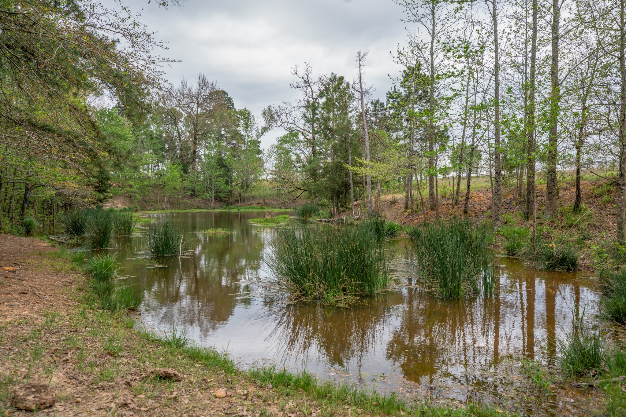 155 Ore City Tx 75683 Tyler, TX 75708 - Photo 40 of 50