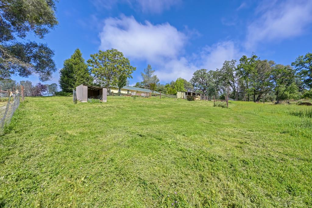 6181 Lambert Lane El Dorado, CA 95623 - Photo 51 of 68 view of yard with an outbuilding and a view of countryside