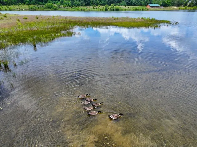 $499,000 | 0 Southeast 54th Highway, Collins, MO 64738