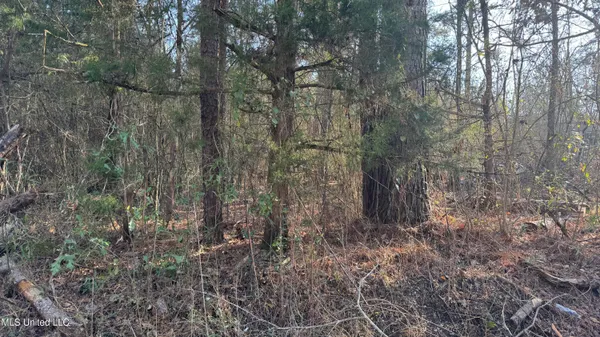 $125,000 | Us-80, Lawrence, MS 39336