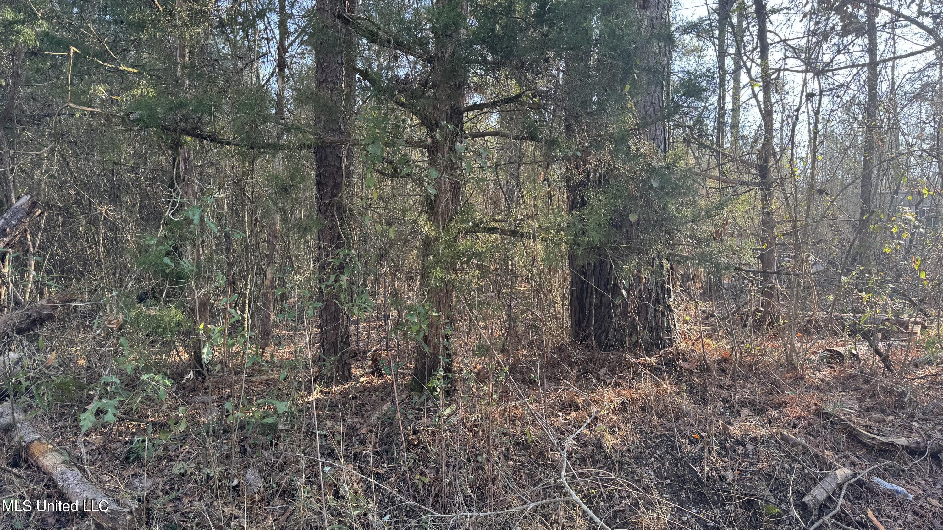 Us-80 Lawrence, MS 39336 - Photo 3 of 4 IMG_4757