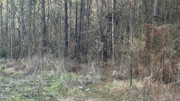 $125,000 | Us-80, Lawrence, MS 39336