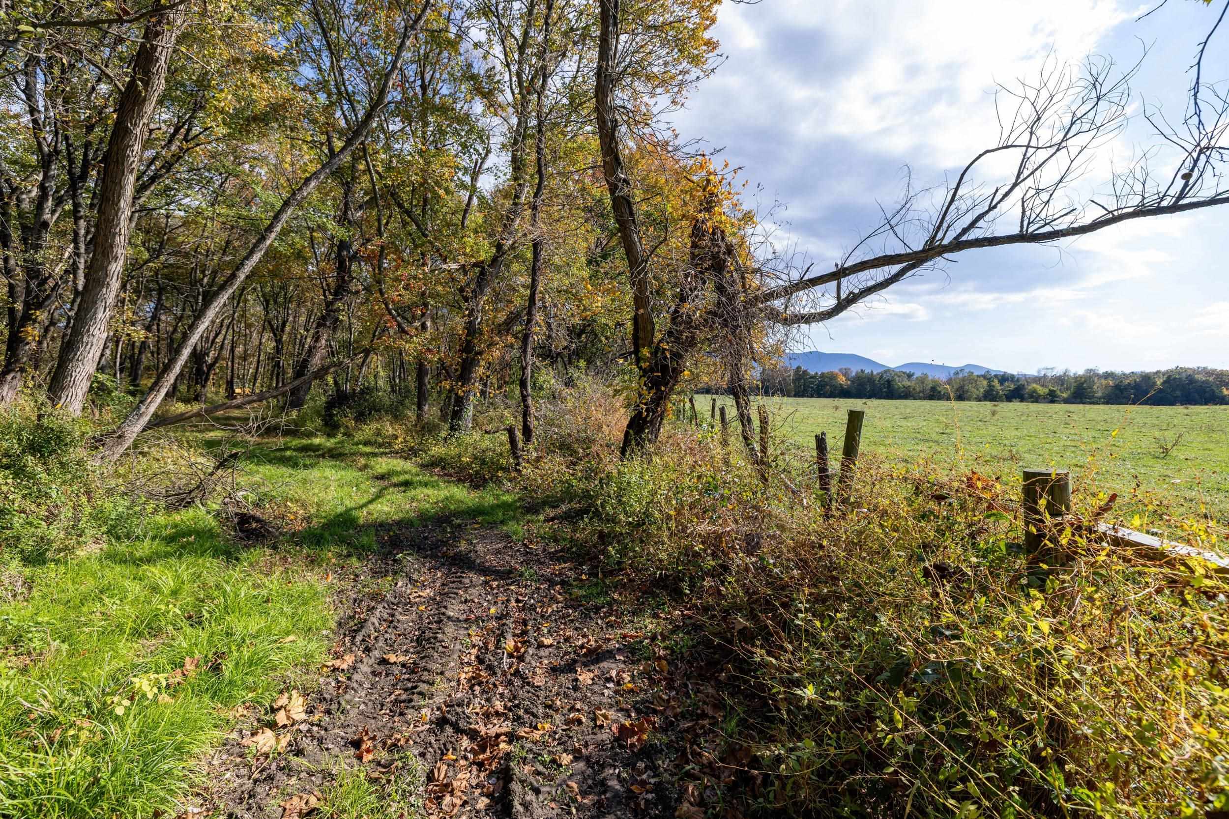 Off Dry Run Road Luray, VA 22835 - Photo 68 of 73 Gallery Image 68