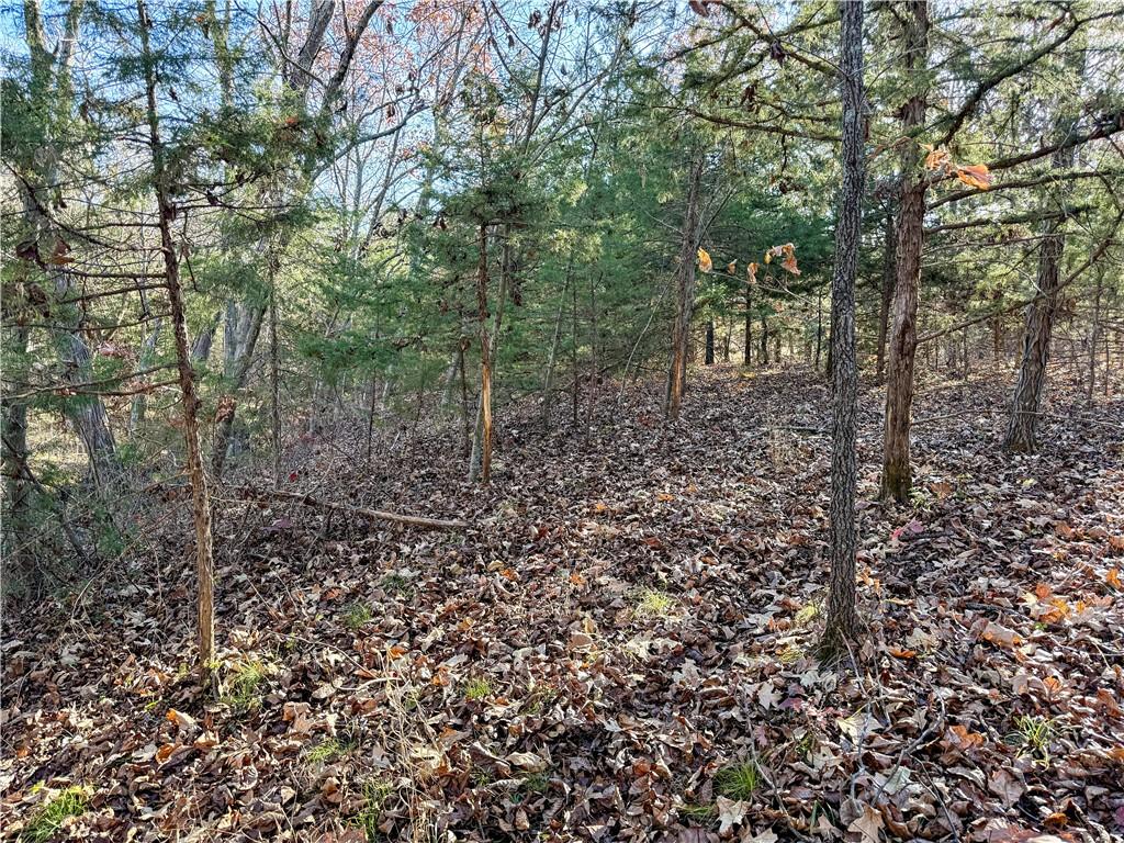 0 Reno Road Pomona, KS 66076 - Photo 11 of 38