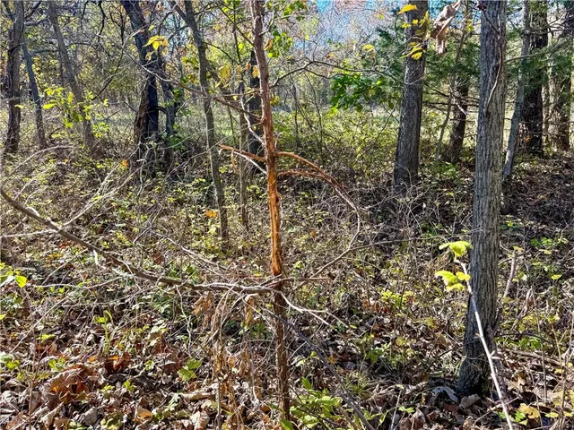 $312,000 | 0 Reno Road, Pomona, KS 66076