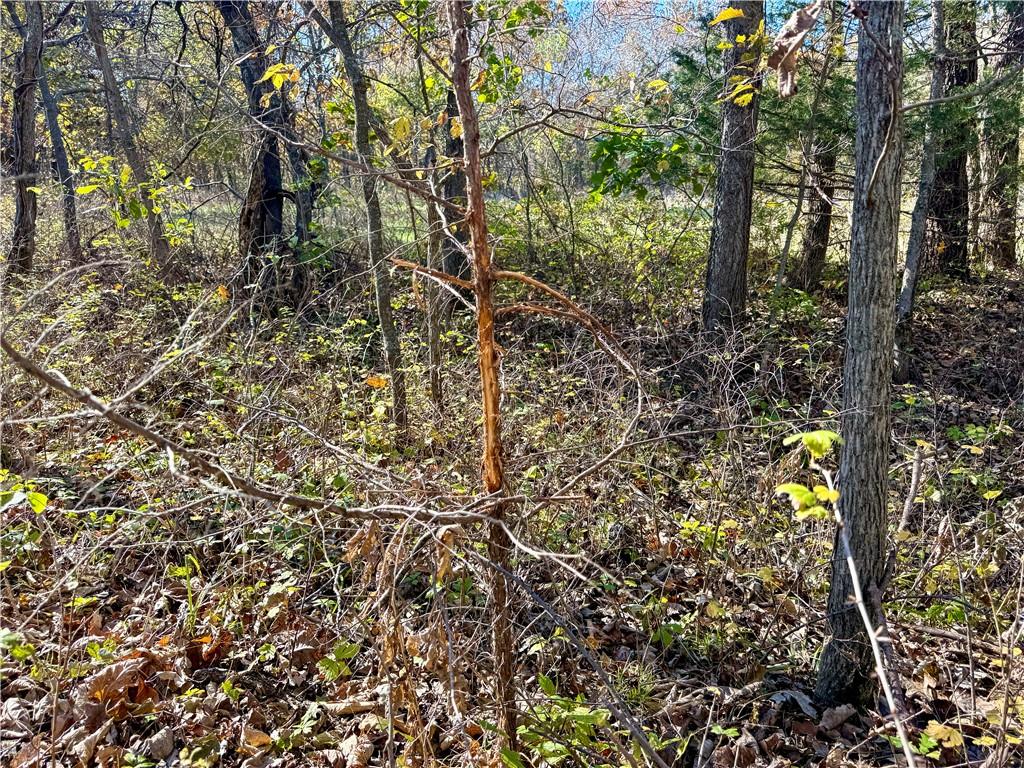 0 Reno Road Pomona, KS 66076 - Photo 13 of 38