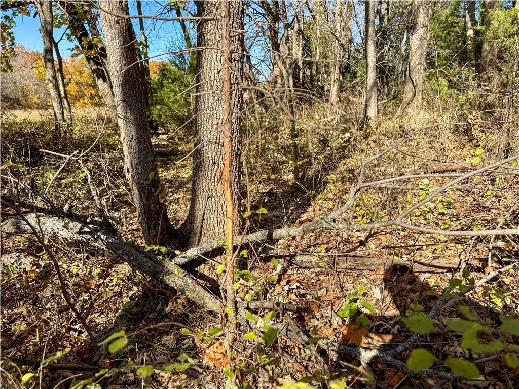 0 Reno Road Pomona, KS 66076 - Photo 14 of 38