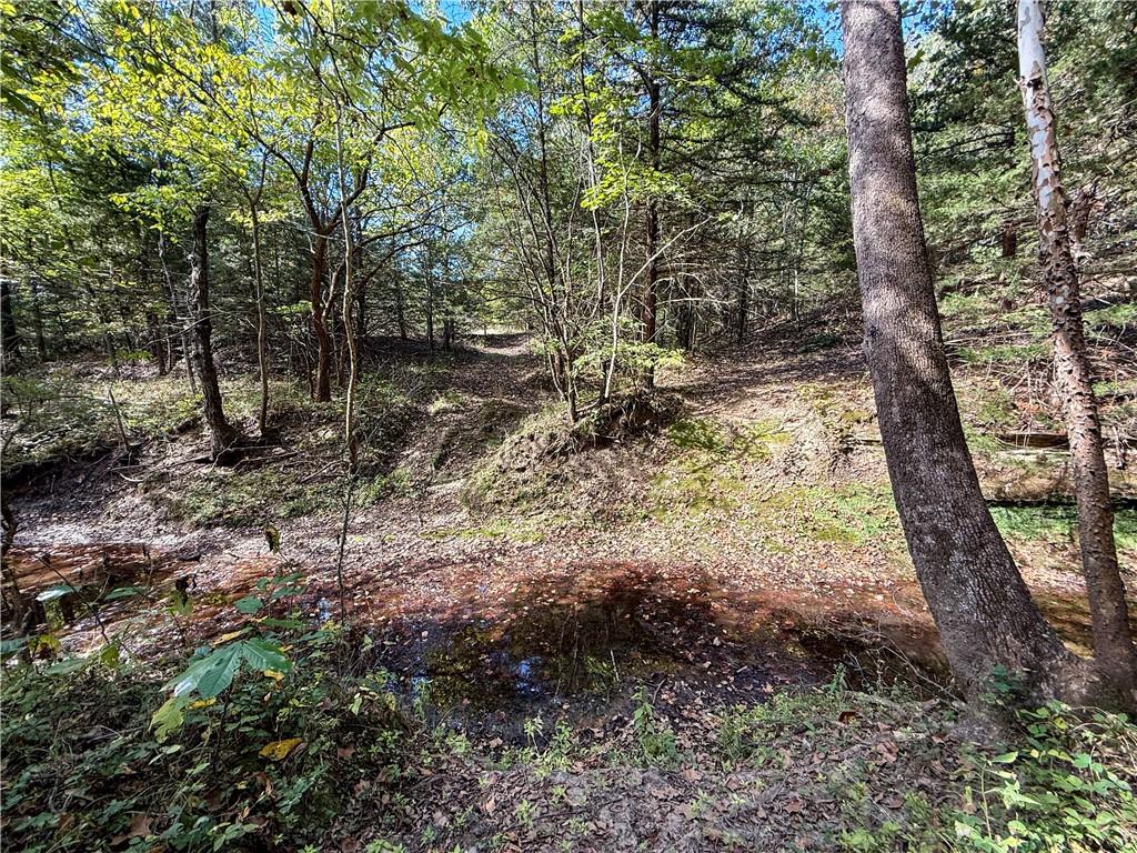 0 Reno Road Pomona, KS 66076 - Photo 17 of 38