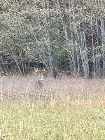 $312,000 | 0 Reno Road, Pomona, KS 66076