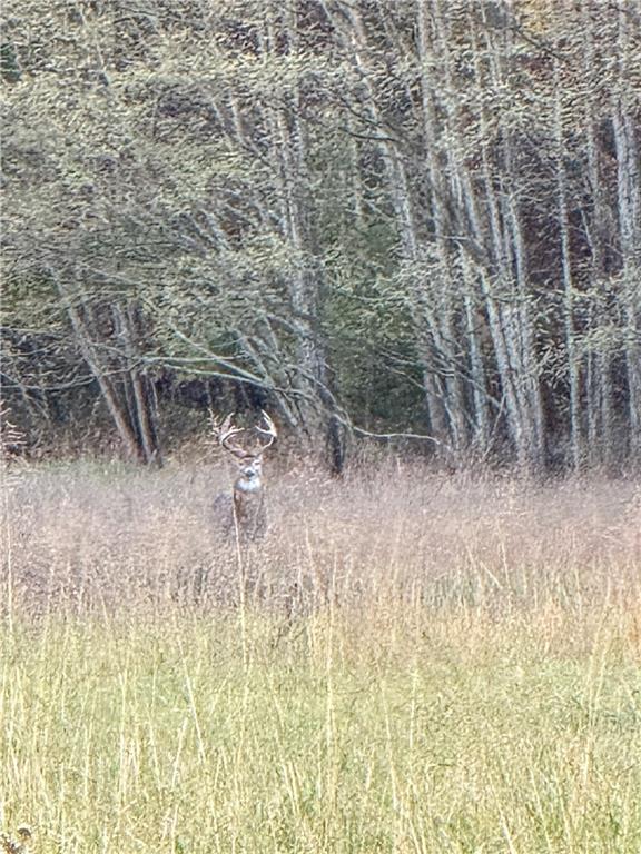 0 Reno Road Pomona, KS 66076 - Photo 18 of 38