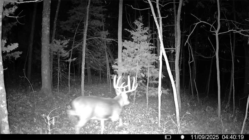 0 Reno Road Pomona, KS 66076 - Photo 19 of 38