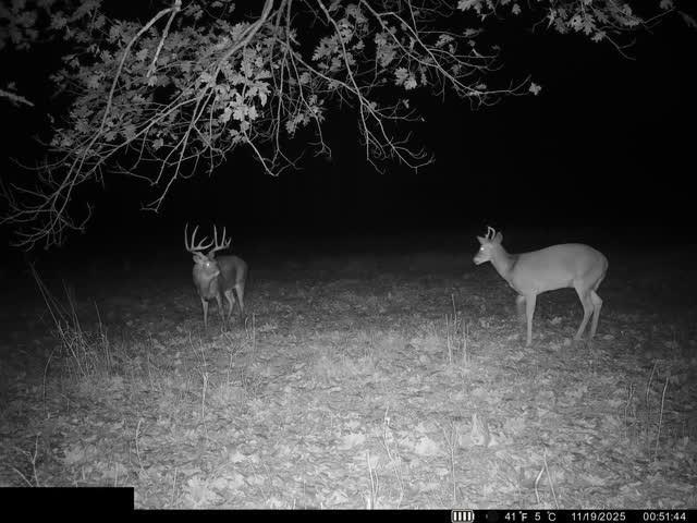 0 Reno Road Pomona, KS 66076 - Photo 20 of 38