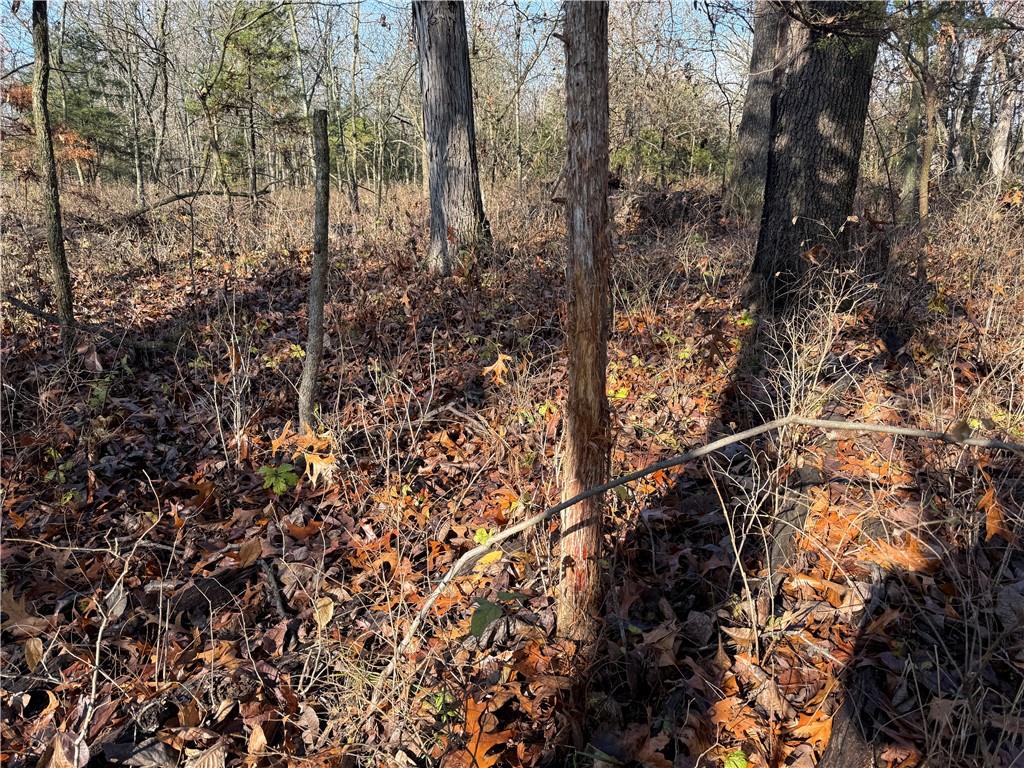 0 Reno Road Pomona, KS 66076 - Photo 24 of 38