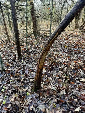 $312,000 | 0 Reno Road, Pomona, KS 66076