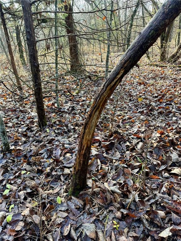0 Reno Road Pomona, KS 66076 - Photo 25 of 38