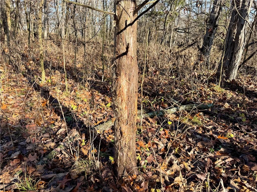 0 Reno Road Pomona, KS 66076 - Photo 26 of 38