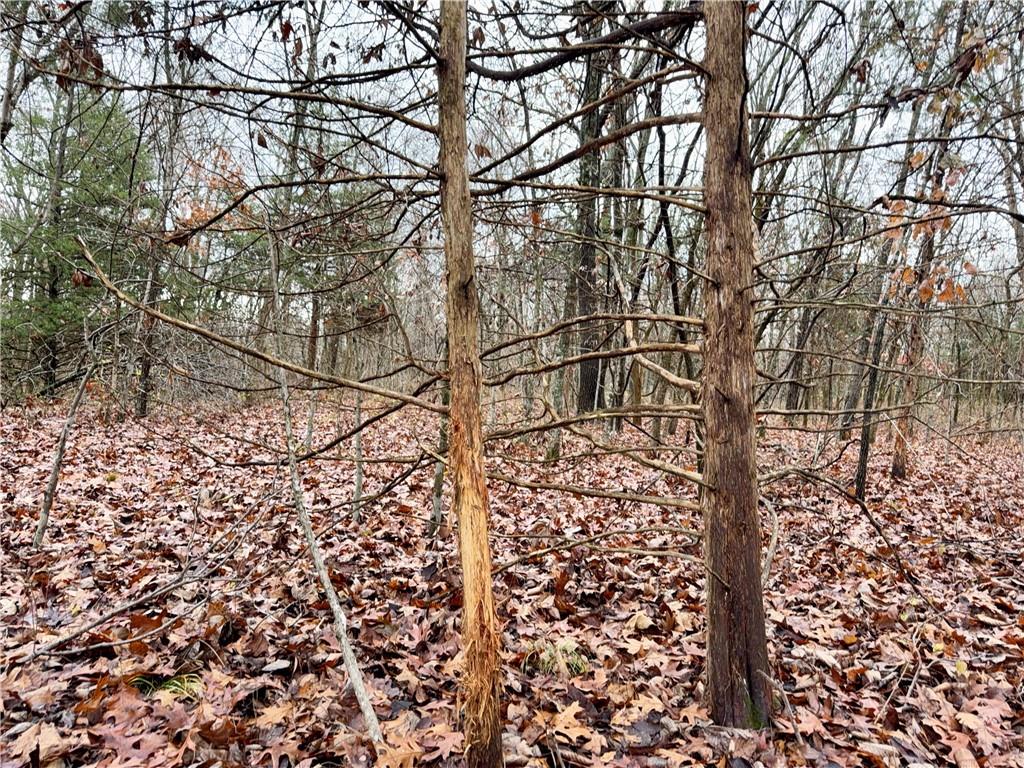 0 Reno Road Pomona, KS 66076 - Photo 27 of 38