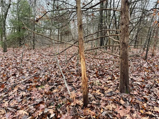 $312,000 | 0 Reno Road, Pomona, KS 66076