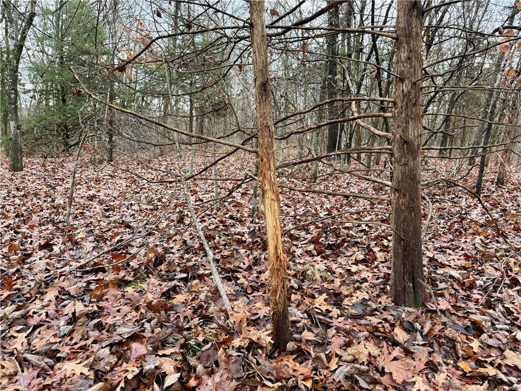 0 Reno Road Pomona, KS 66076 - Photo 28 of 38