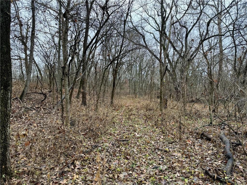 0 Reno Road Pomona, KS 66076 - Photo 30 of 38