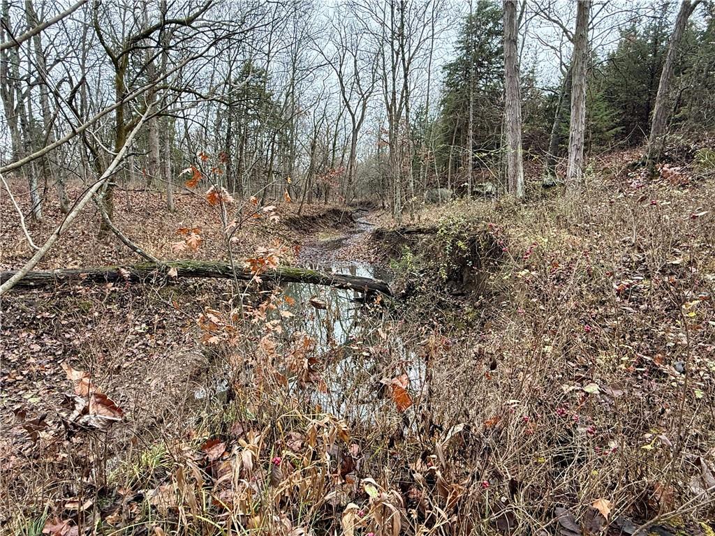 0 Reno Road Pomona, KS 66076 - Photo 32 of 38