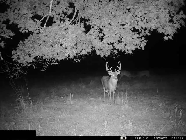 $312,000 | 0 Reno Road, Pomona, KS 66076