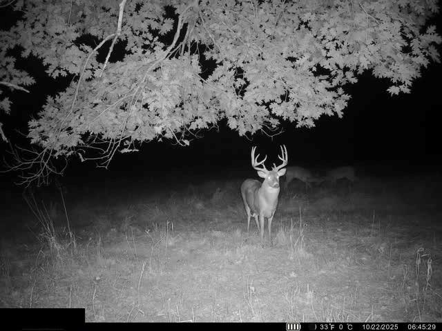 0 Reno Road Pomona, KS 66076 - Photo 34 of 38