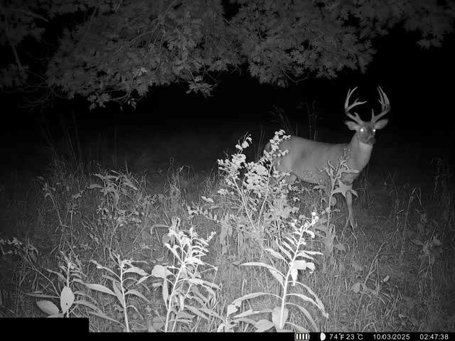 0 Reno Road Pomona, KS 66076 - Photo 35 of 38