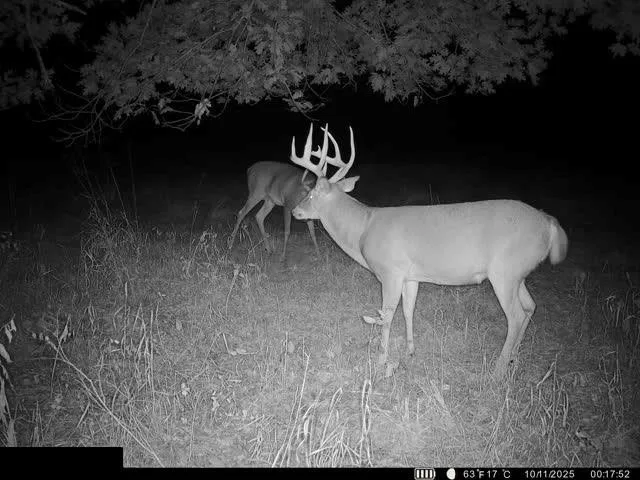 $312,000 | 0 Reno Road, Pomona, KS 66076