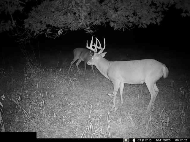 0 Reno Road Pomona, KS 66076 - Photo 36 of 38