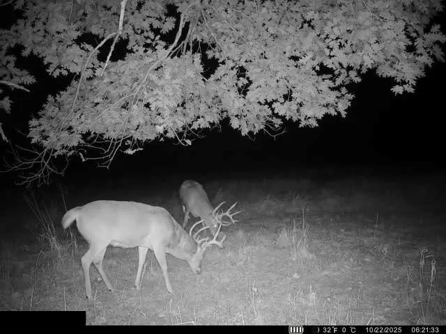 $312,000 | 0 Reno Road, Pomona, KS 66076