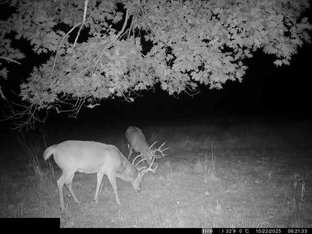 0 Reno Road Pomona, KS 66076 - Photo 37 of 38