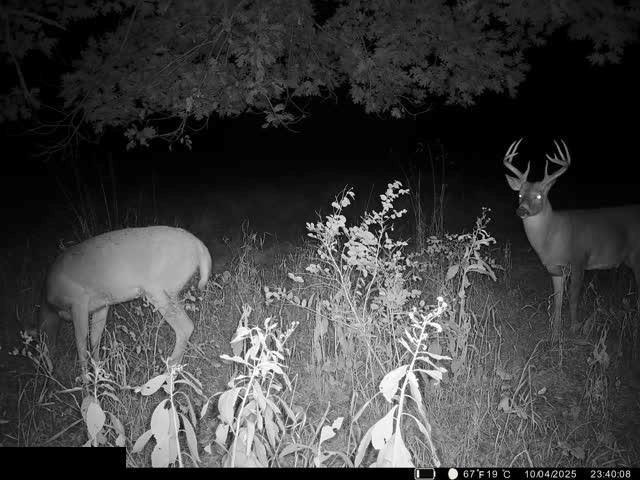 0 Reno Road Pomona, KS 66076 - Photo 38 of 38