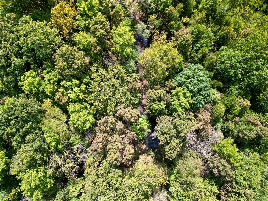 0 Reno Road Pomona, KS 66076 - Photo 6 of 38