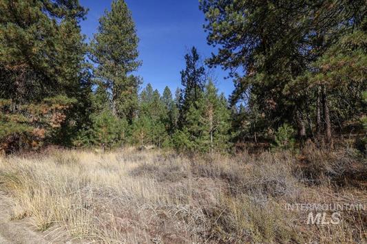 Tbd Joshua Drive, Unit 4 Cascade, ID 83611 - Photo 13 of 28