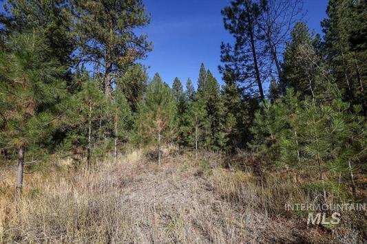 Tbd Joshua Drive, Unit 4 Cascade, ID 83611 - Photo 14 of 28