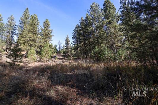 Tbd Joshua Drive, Unit 4 Cascade, ID 83611 - Photo 16 of 28