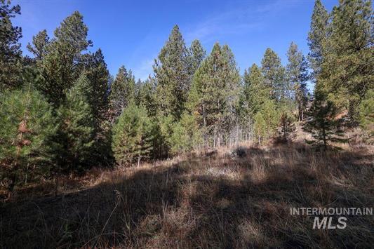 Tbd Joshua Drive, Unit 4 Cascade, ID 83611 - Photo 17 of 28