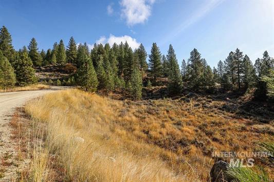 Tbd Joshua Drive, Unit 4 Cascade, ID 83611 - Photo 3 of 28