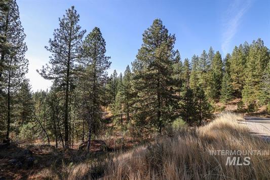 Tbd Joshua Drive, Unit 4 Cascade, ID 83611 - Photo 5 of 28
