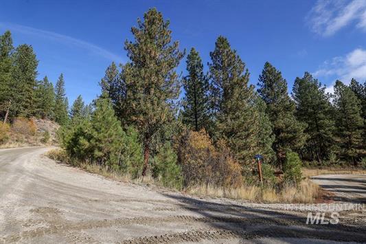 Tbd Joshua Drive, Unit 4 Cascade, ID 83611 - Photo 6 of 28