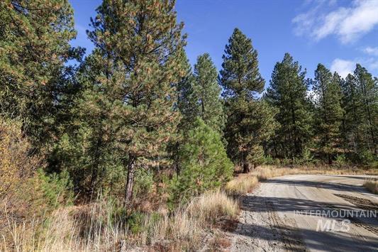 Tbd Joshua Drive, Unit 4 Cascade, ID 83611 - Photo 7 of 28