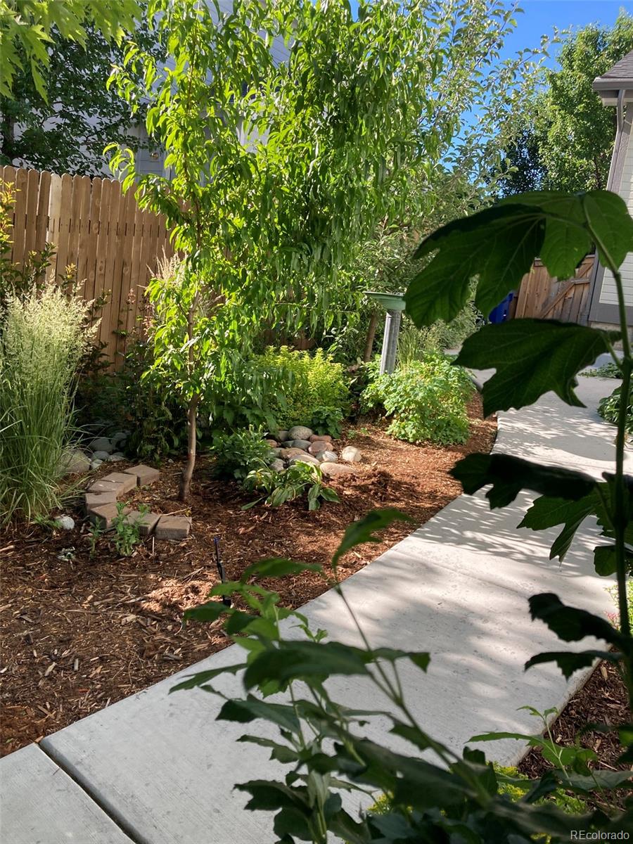 7549 Bantry Court Lone Tree, CO 80124 - Photo 29 of 36