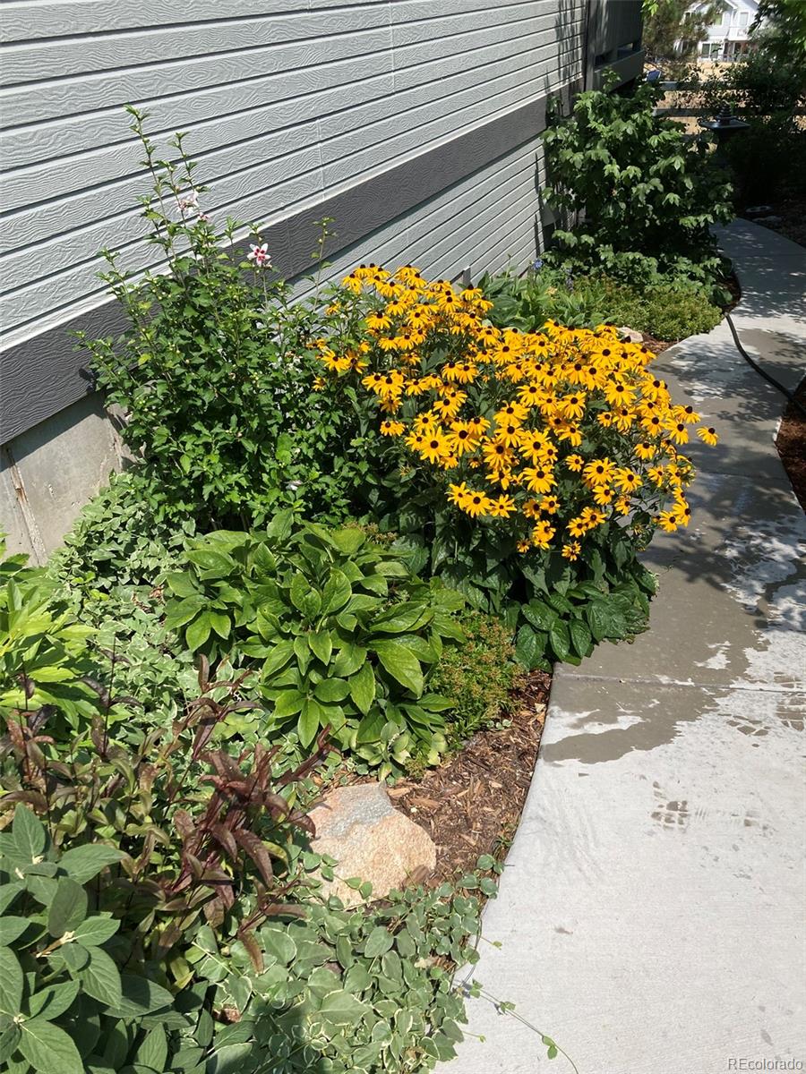 7549 Bantry Court Lone Tree, CO 80124 - Photo 31 of 36